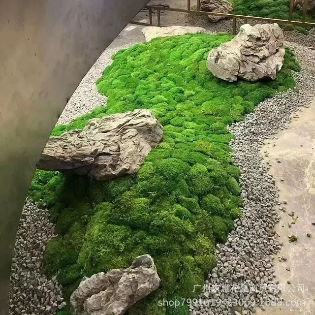 Artificial Moss Stone Preserved Moss Flower Fairy Garden DIY Decor